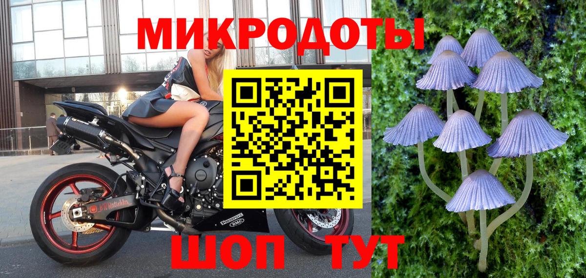 Галлюциногенные грибы GOLDEN TEACHER  Вход с VPN  Анапа 