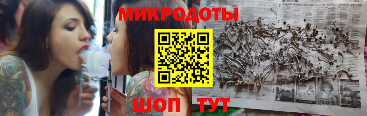 Псилоцибиновые грибы Psilocybe Анапа